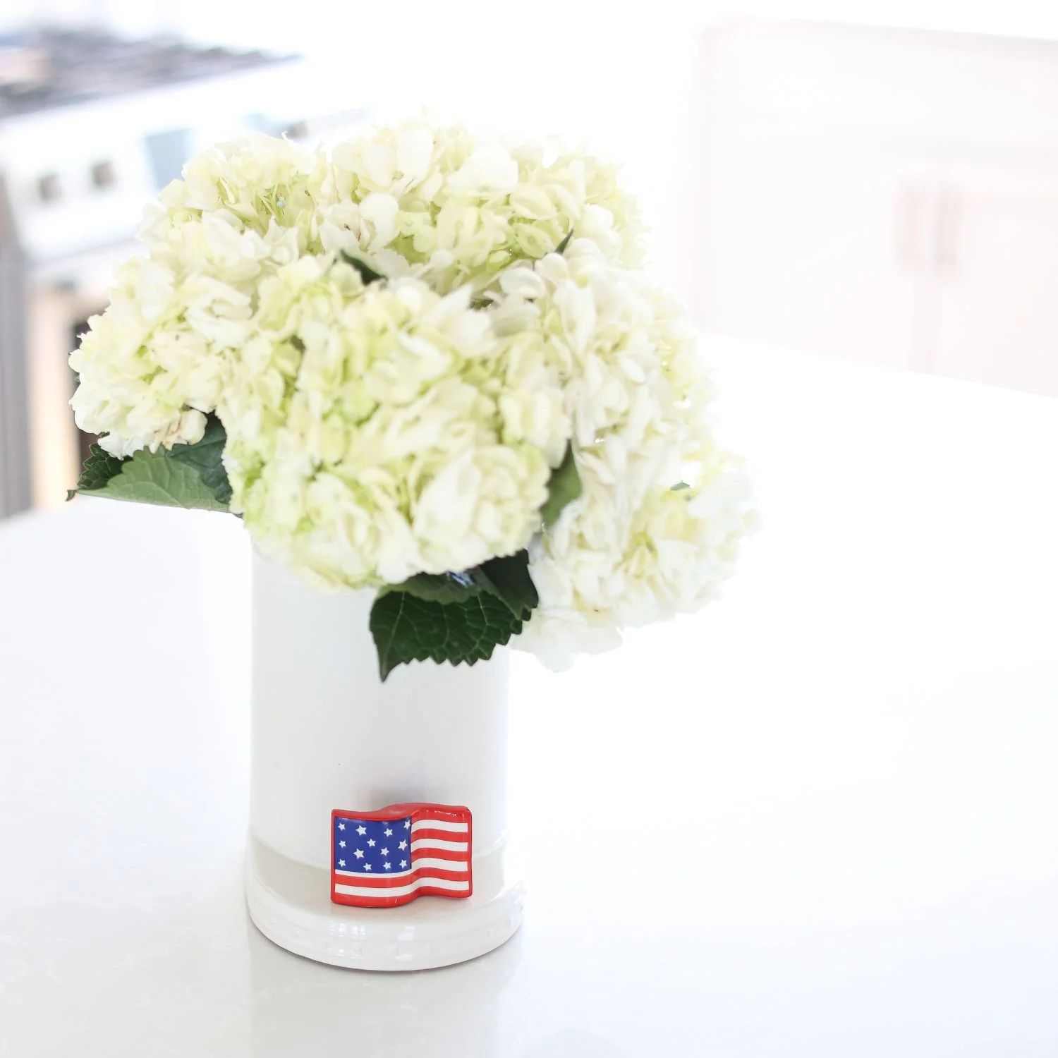 stars & stripes forever - Image 4